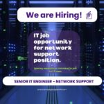 1717138000100 SENIOR IT ENGINEER