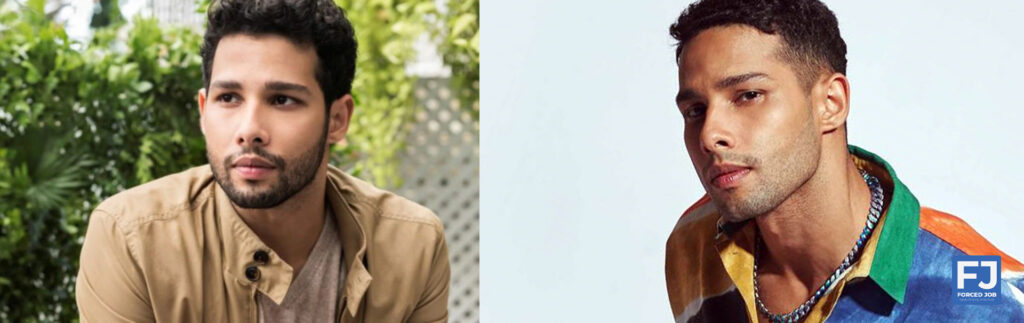 Siddhant Chaturvedi From Chartered Accountant to Bollywood's Rising Star