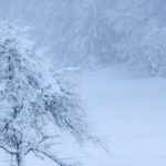 Snowfall - Nature’s Silent Wonder – Understanding the Science, Beauty, and Impact of Snow