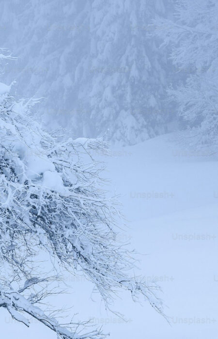 Snowfall - Nature’s Silent Wonder – Understanding the Science, Beauty, and Impact of Snow