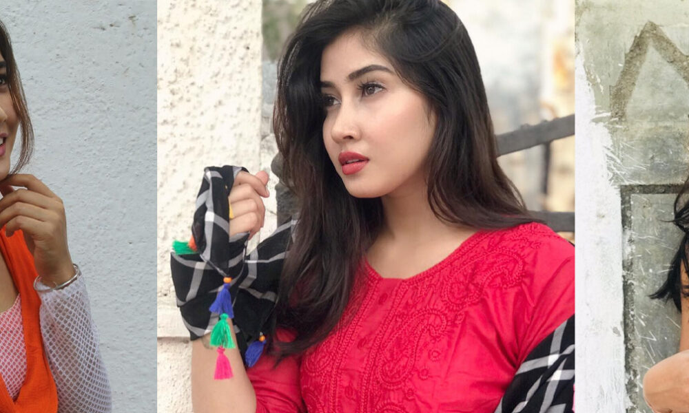 Sofia Ansari - The Rise of a Digital Diva in India’s Influencer Culture