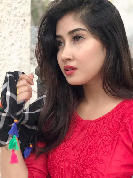 Sofia Ansari - The Rise of a Digital Diva in India’s Influencer Culture