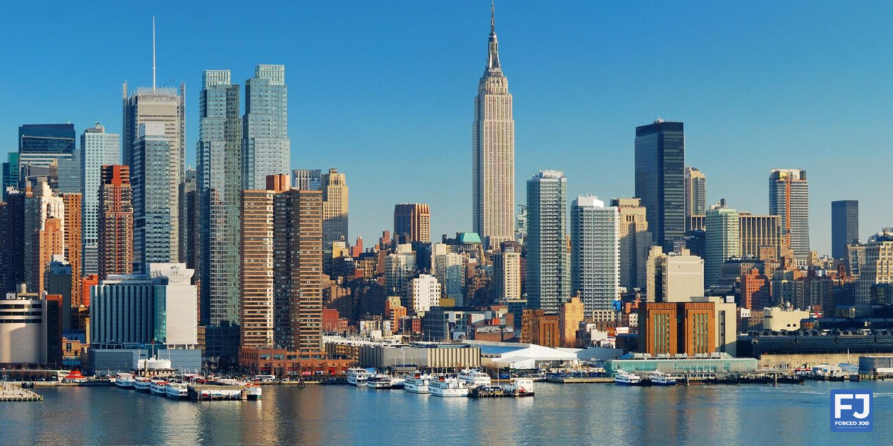Essential Tips for a Successful Job Search in the United States